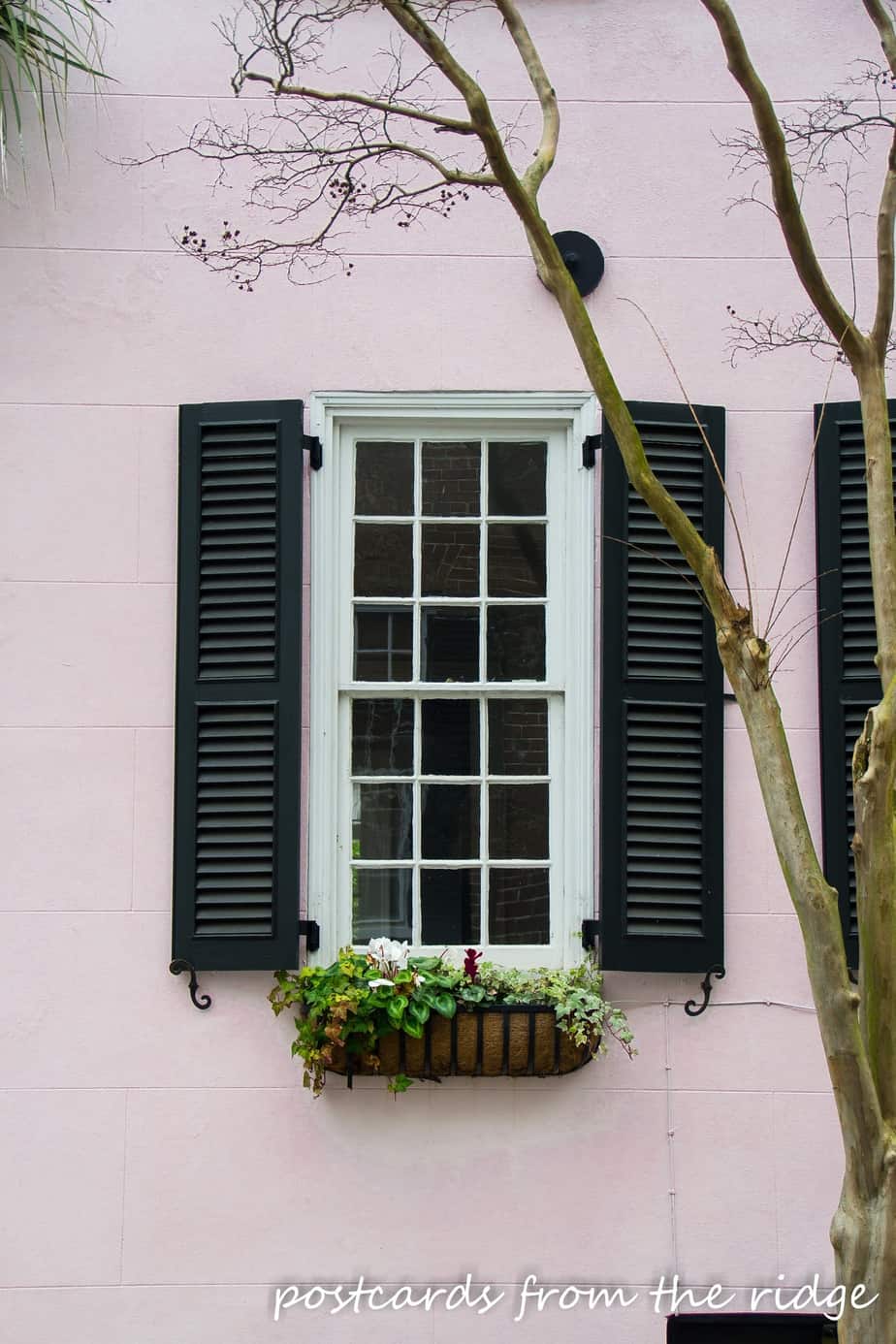 查尔斯顿的家，黑色百叶窗，粉色油漆