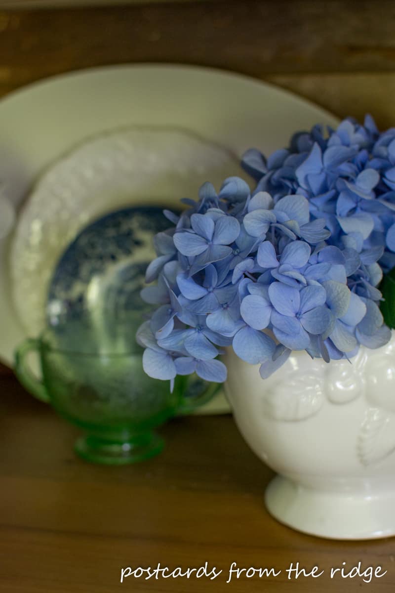 夏天的蓝色绣球花和白色铁石