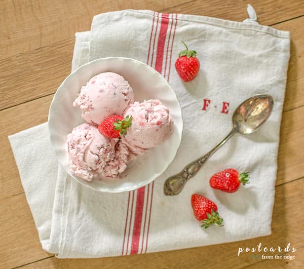 Cuisinart草莓冰淇淋食谱