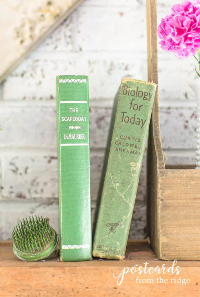 复古的绿色书籍春季壁炉架与复古的绿色金属钉花青蛙