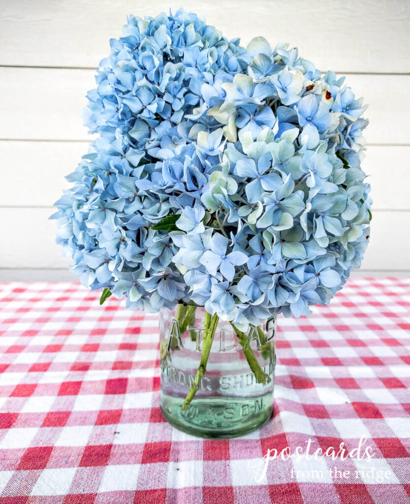 蓝色的绣球花放在老式的蓝色玻璃瓶里，放在红白桌布上